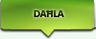 Dahla